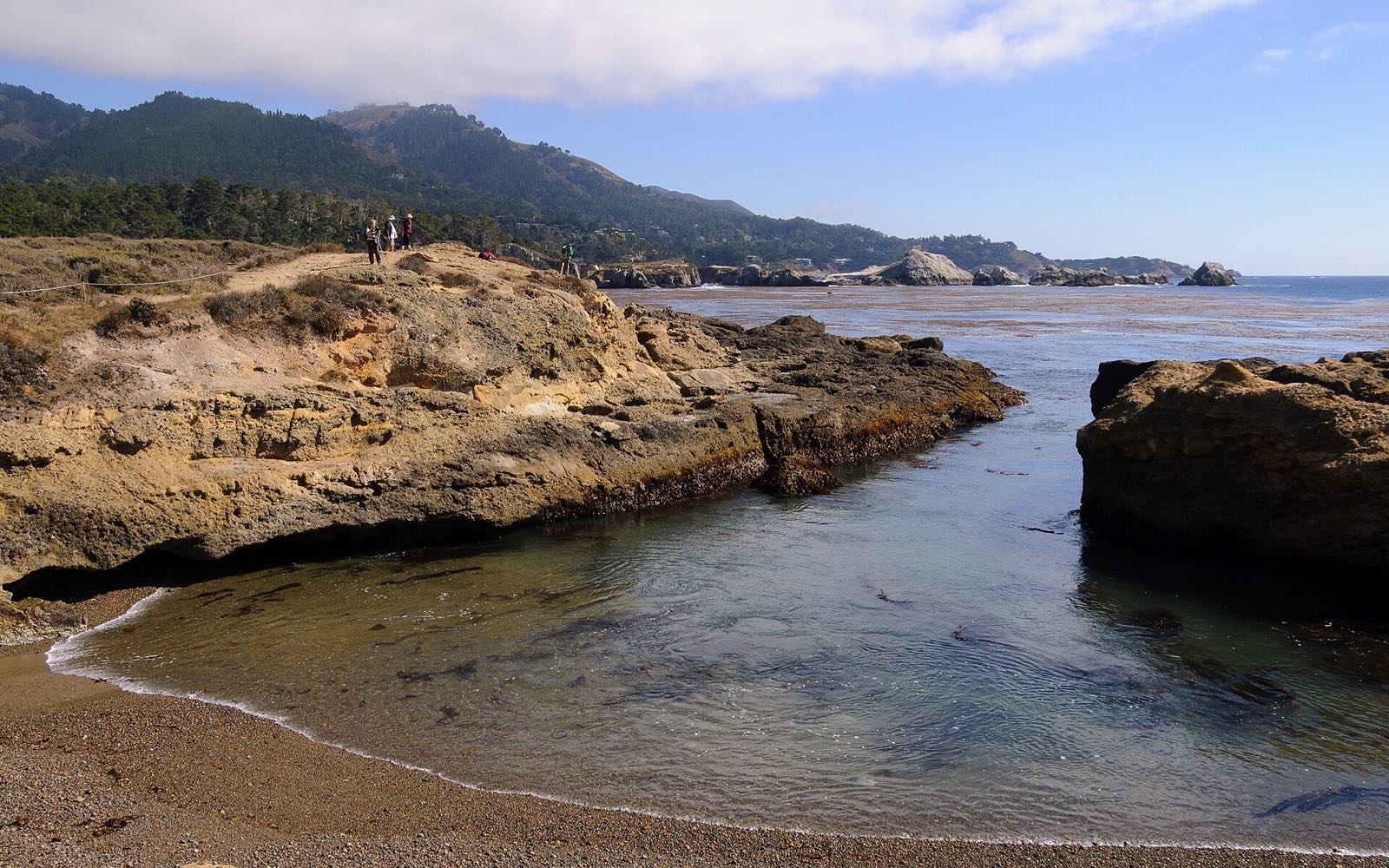 Rocky shoreline and blue water in a sheltered cove at Point Lobos State Natural Reserve.
